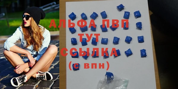 стаф Заводоуковск