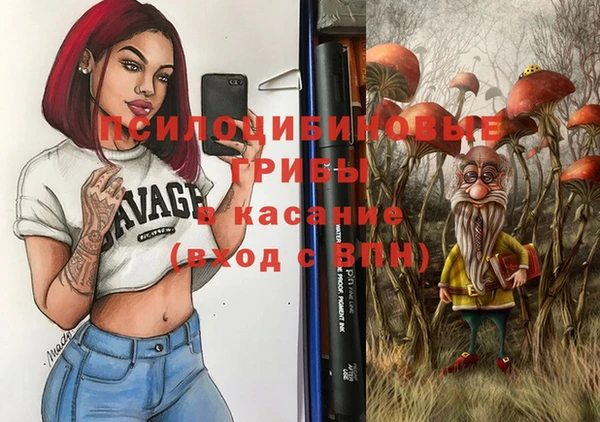 стаф Заводоуковск