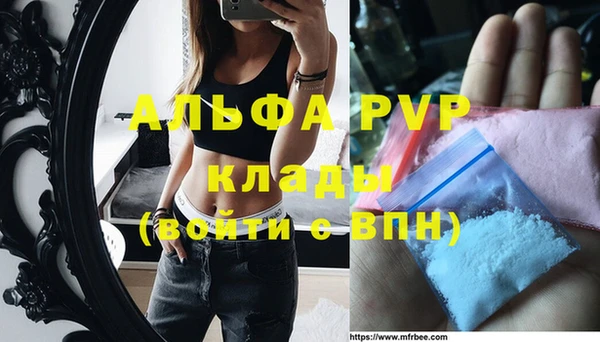 стаф Заводоуковск