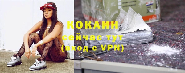 стаф Заводоуковск