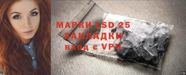 стаф Заводоуковск