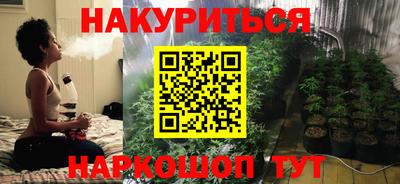 крисы Будённовск