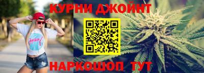 крисы Будённовск