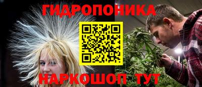 крисы Будённовск