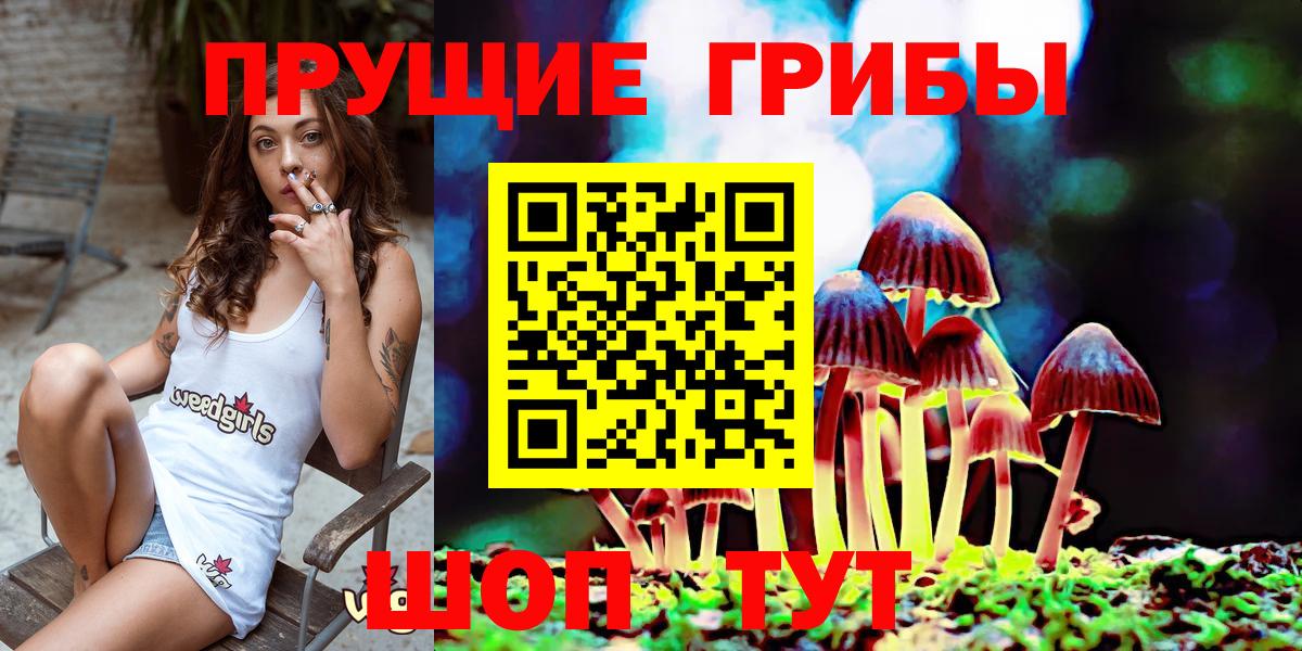 Псилоцибиновые грибы GOLDEN TEACHER  Вход с VPN  Россия 