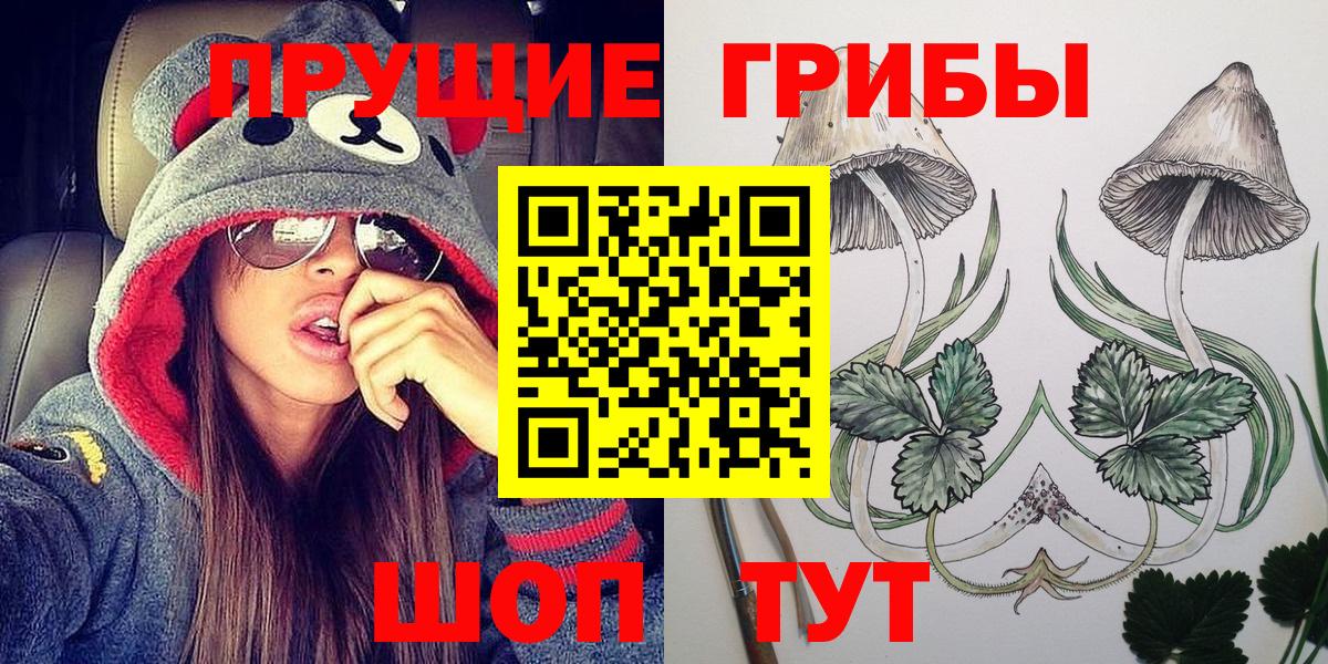 Псилоцибиновые грибы прущие грибы Россия